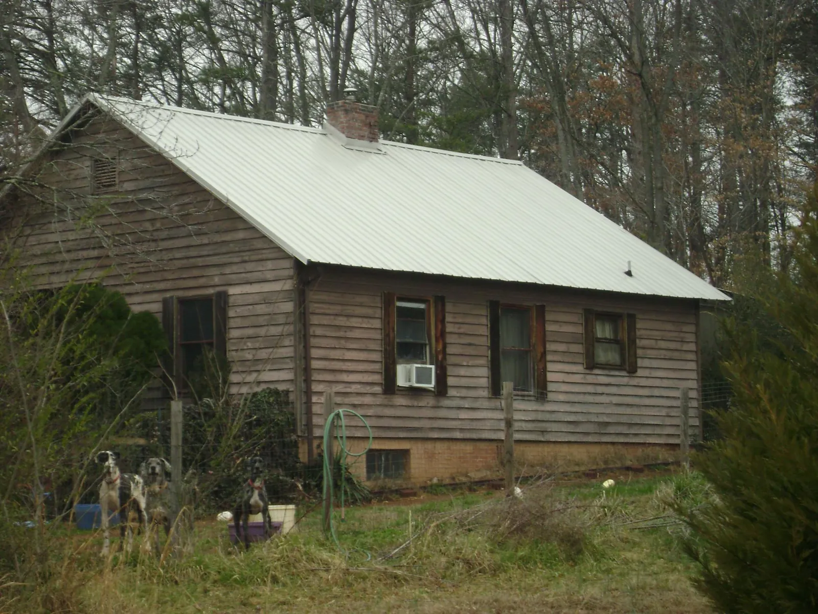 White metal roof on an old wood sided farmhouse, from a Asphalt Shingle Roof Repair job in Plain City